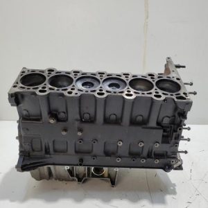 Bloque motor completo BMW SERIE X5 E53 2002